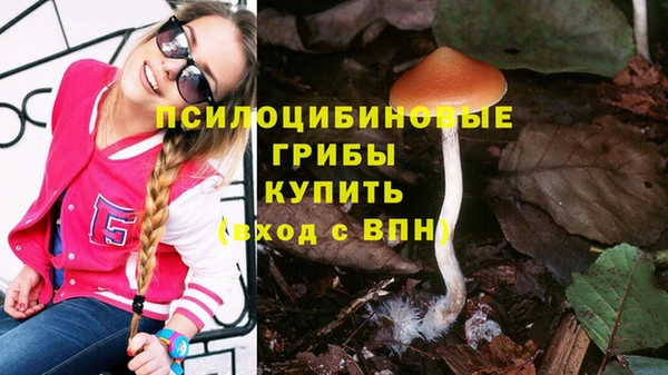 ALPHA PVP Володарск