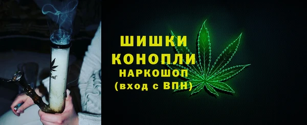 PSILOCYBIN Вяземский