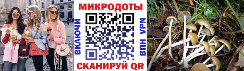 Галлюциногенные грибы прущие грибы  Челябинск 